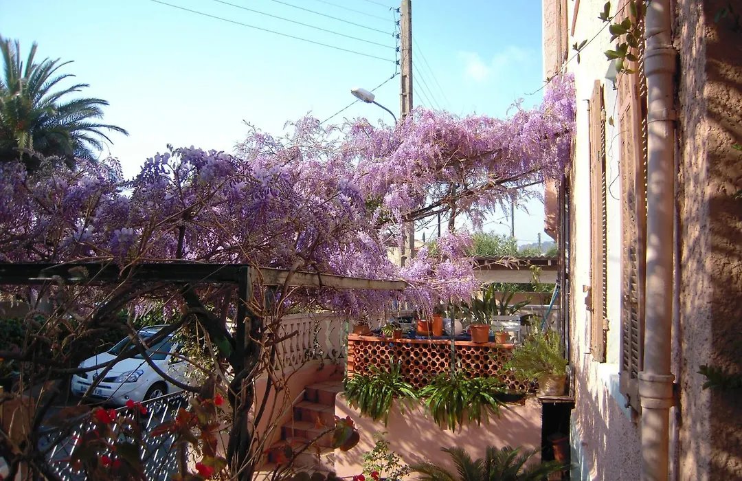 Hotel Princesse D'Azur-1