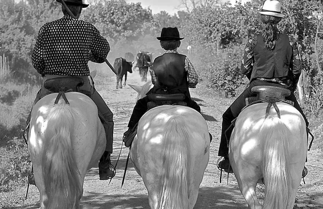 Mas du Menage en Camargue Manade Clauzel-1