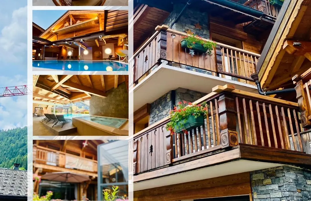Hotel Alpina-1