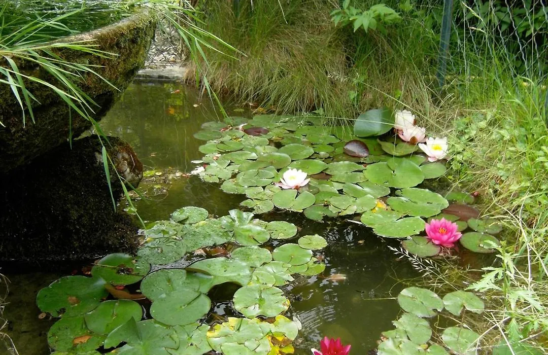Logis Hotel Le Miramont-1