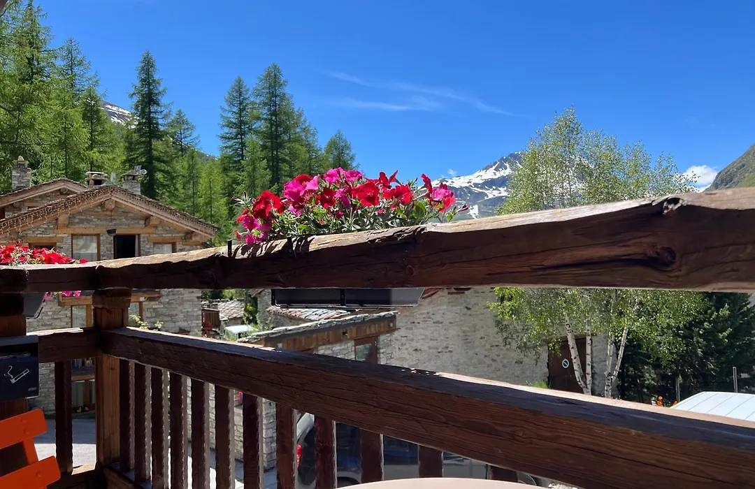 Chalet Hotel Du Fornet-1