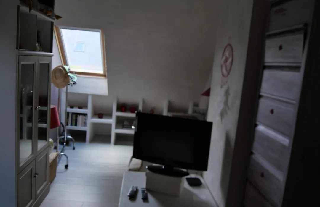 grande chambre lumineuse et spacieuse 22m2-1