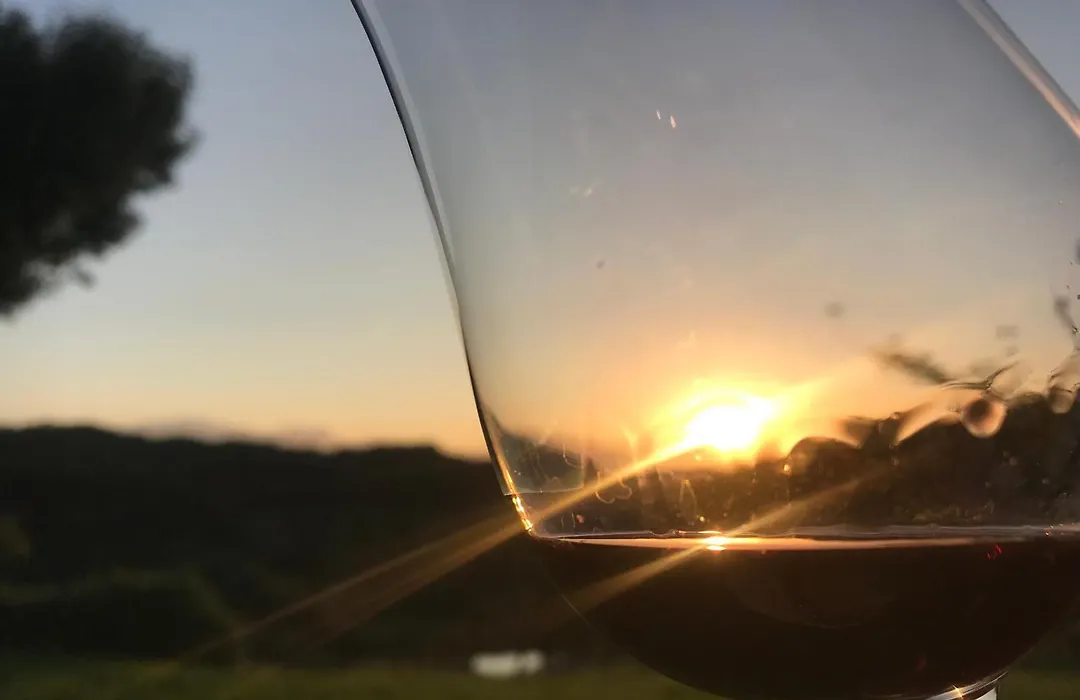 Domaine Labouroume-1