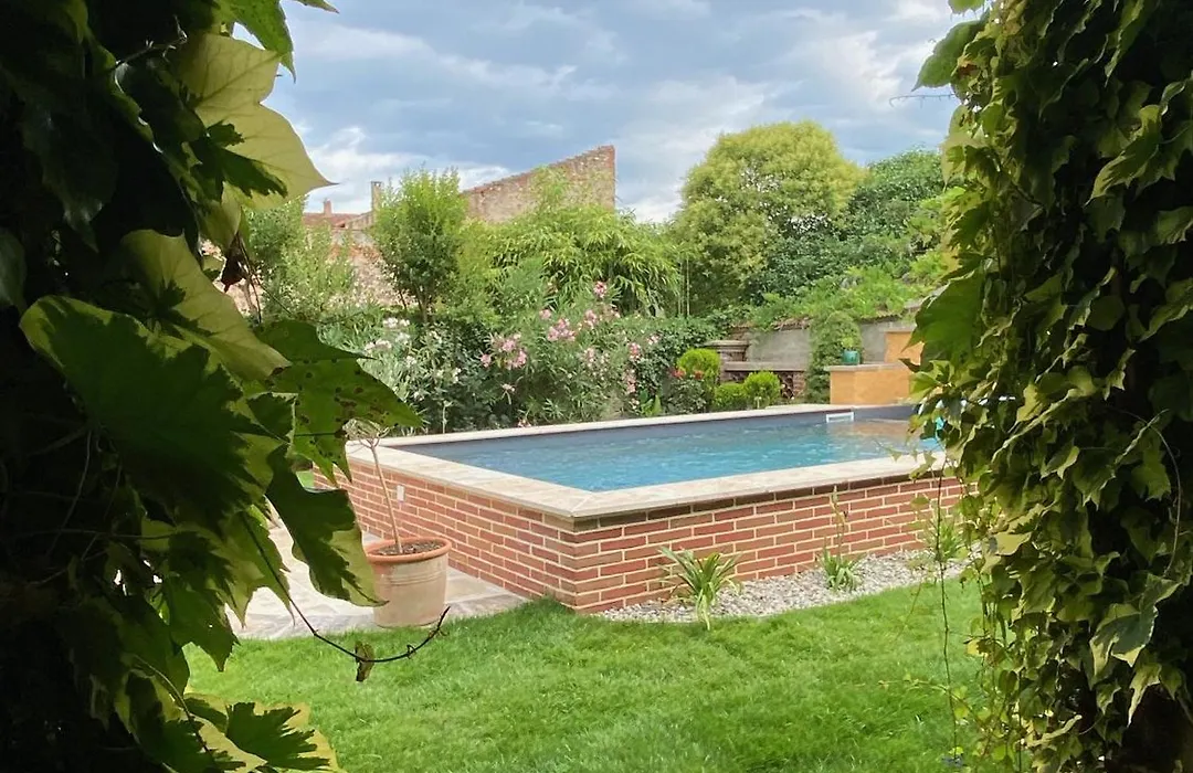 Le Rez de Jardin Albi-1