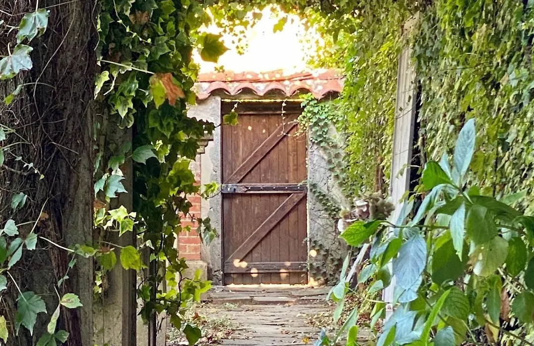 Le Rez de Jardin Albi-1