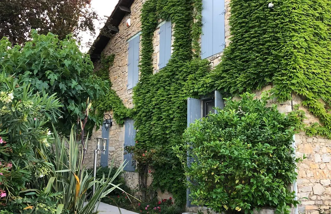 Le Mas Des Oliviers Nimes-1