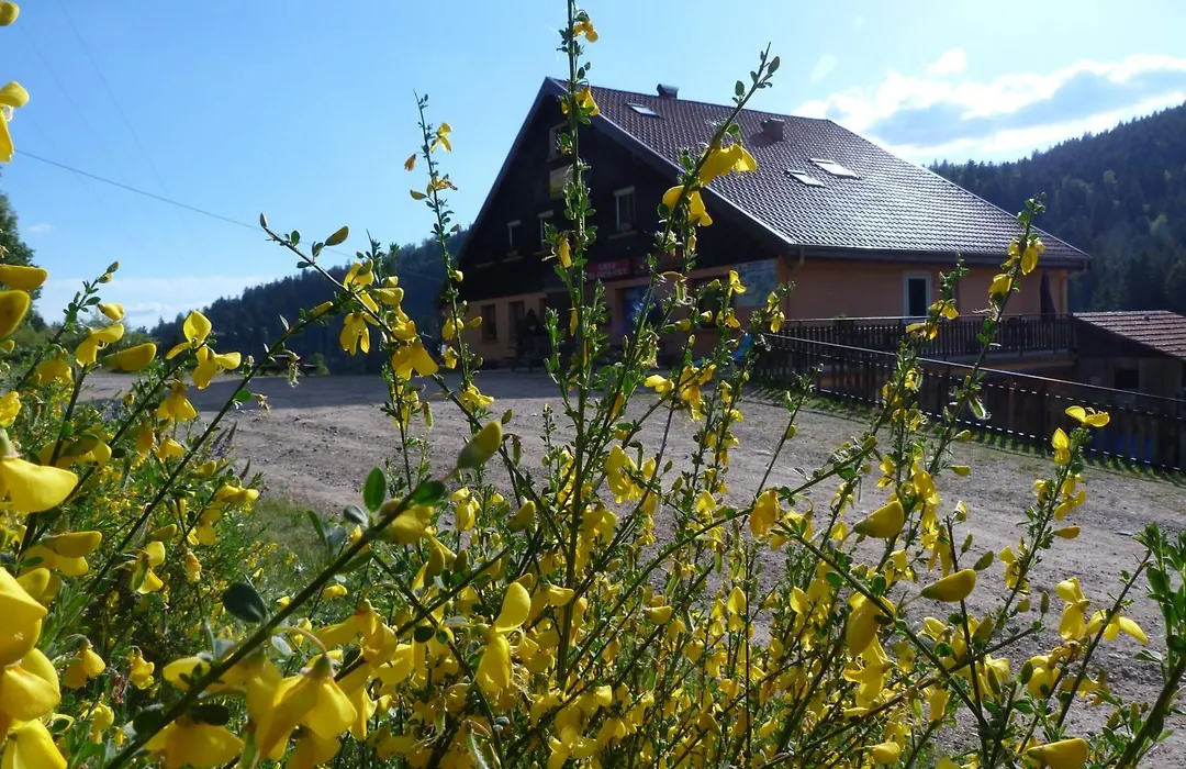 Auberge Des Hauts Viaux-1