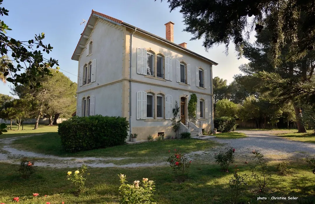 Un Nid En Camargue-1