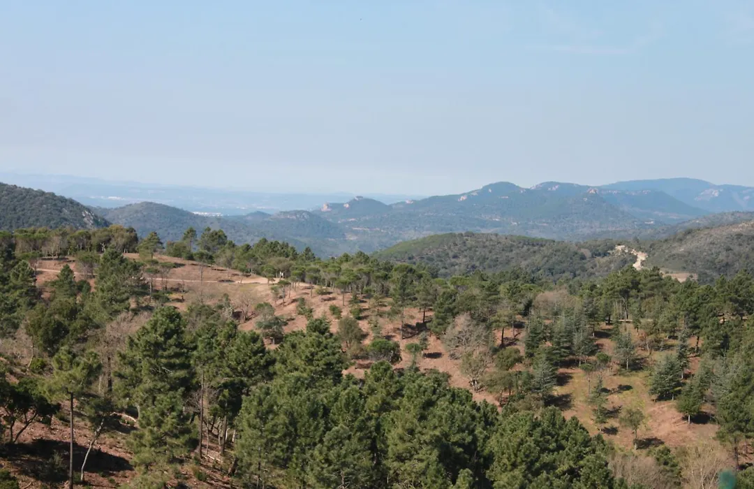 L'Estirado des Adrets-1