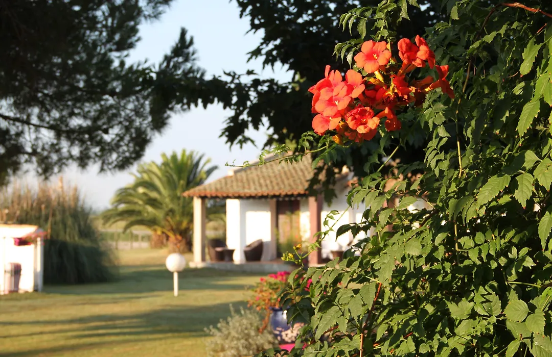 Hotel Mas Des Barres-1
