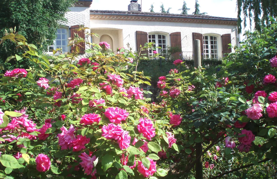 Au Soleil D'Albi-1