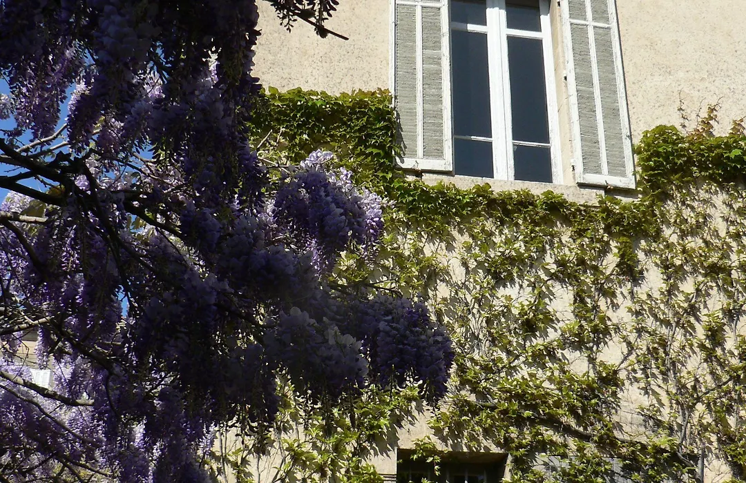 Chambres D'Hotes Maison Auguste-1