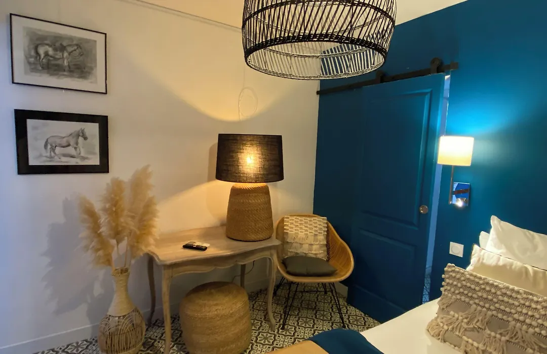 Hotel Le Neptune En Camargue-1