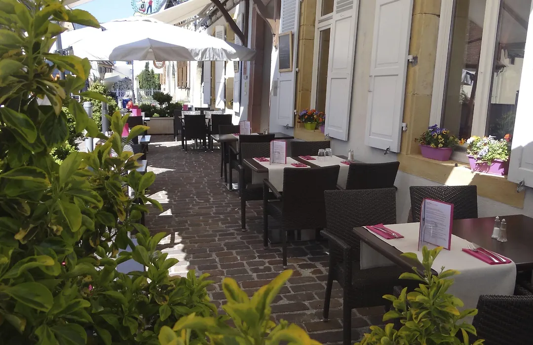 Hôtel L'Auberge Alsacienne-1