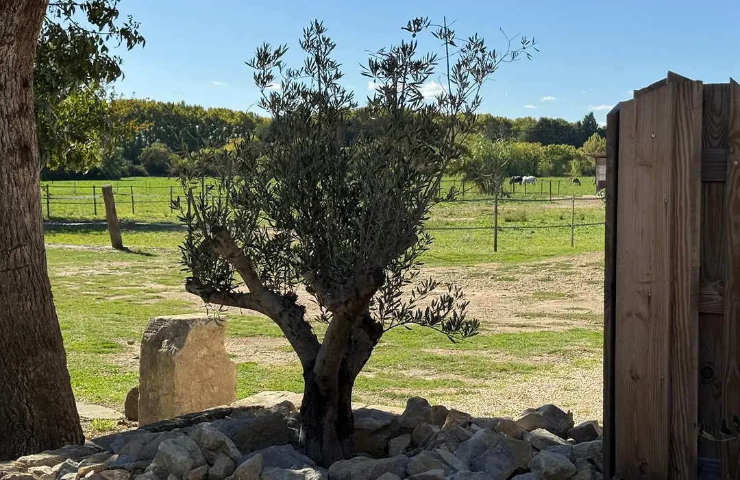Le Mas D'Eymard-1