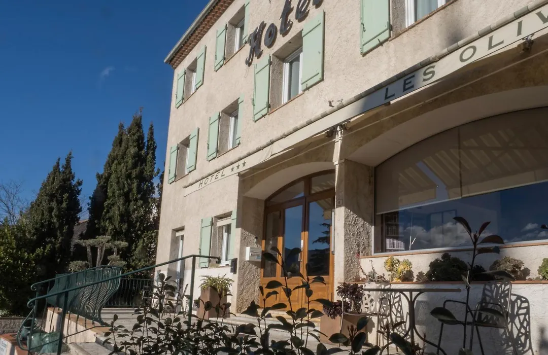 Hotel Les Oliviers-1