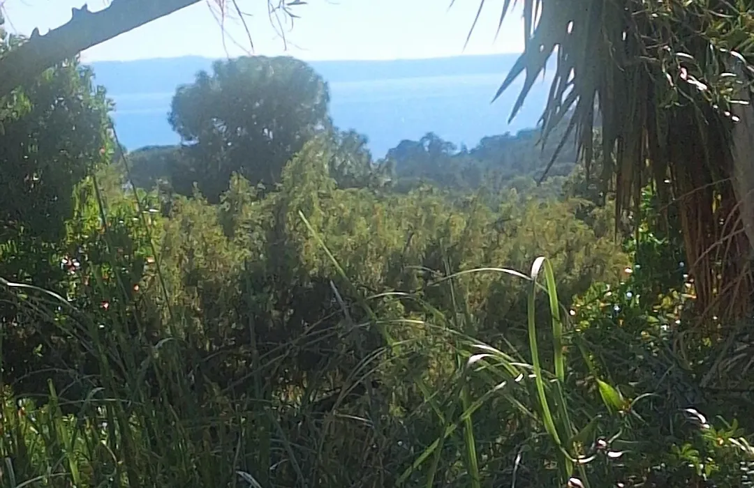 Massacan-Vue Mer-1
