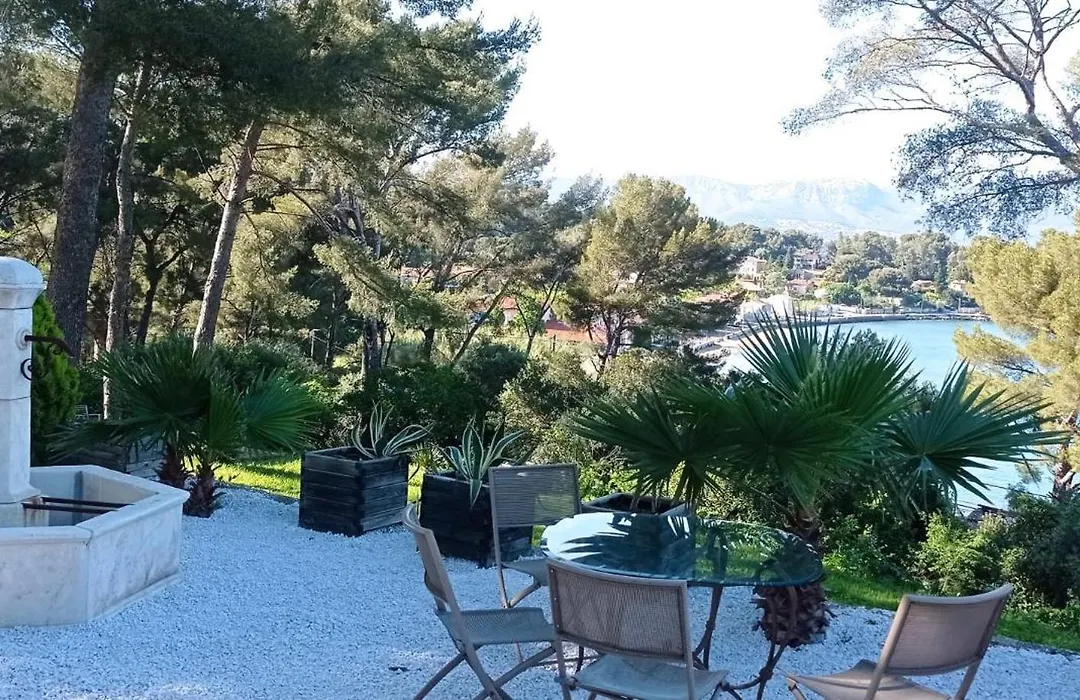 Amadeus Guest House - Chambres d'Hôtes-1