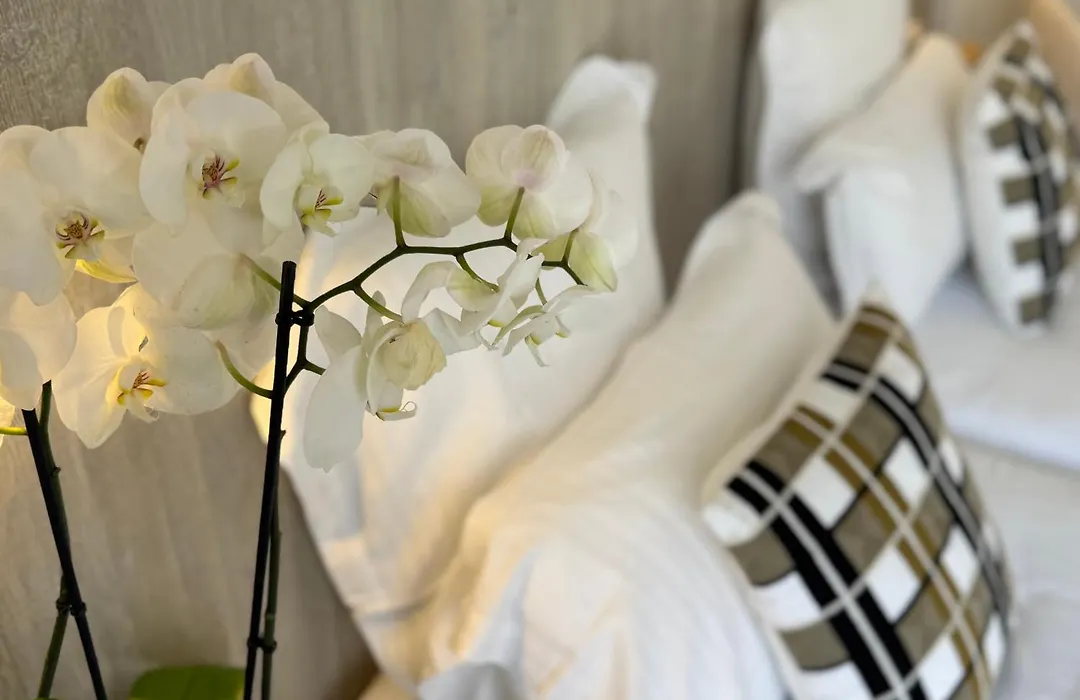 Hotel Provencal-1