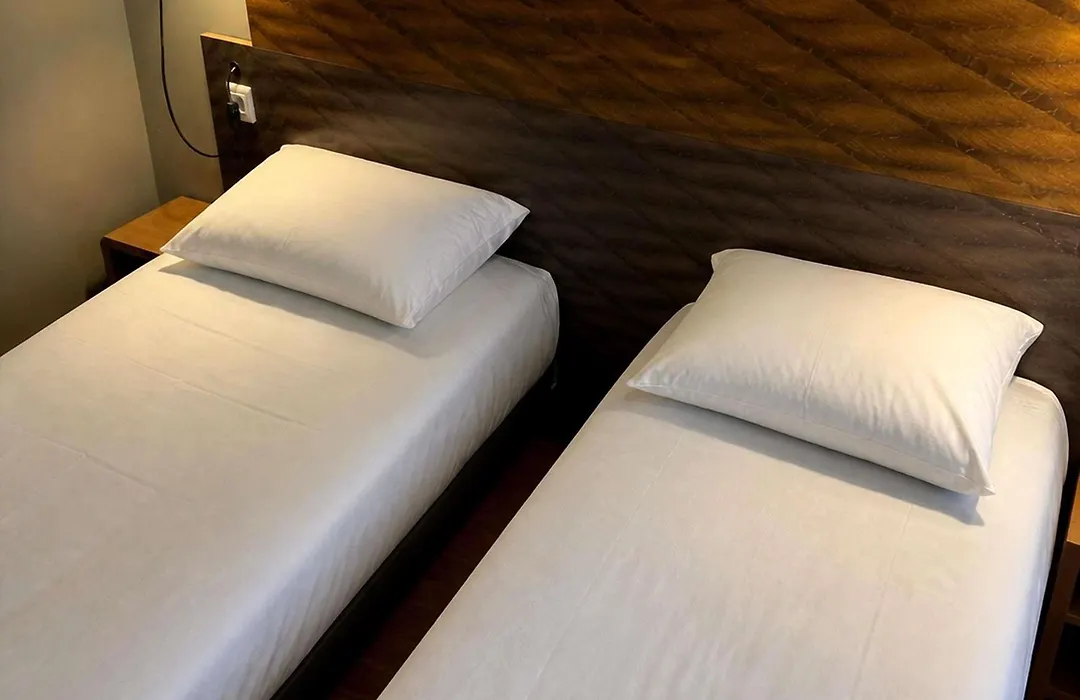 Hotel Ibis Dijon Centre Clemenceau-1