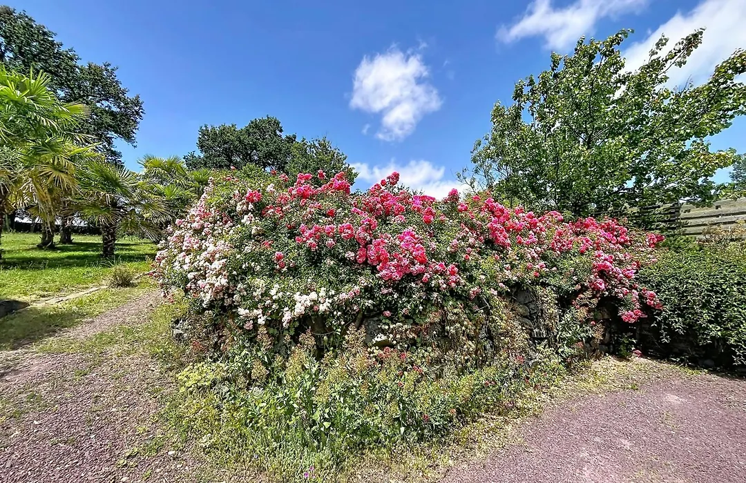 Havre de paix et jardin tropical. Chambre privée-1