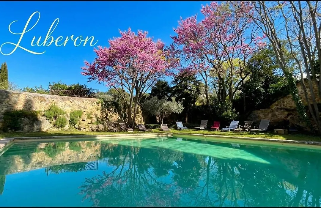 La Tuilière en Luberon-1