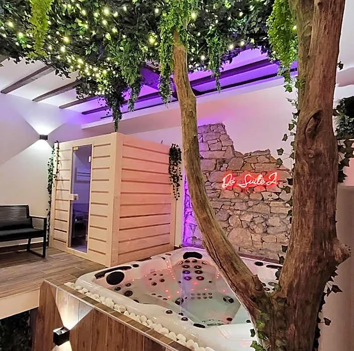 Grenoble La Suite 2 Spa Jaccuzzi Et Sauna Privatif-1