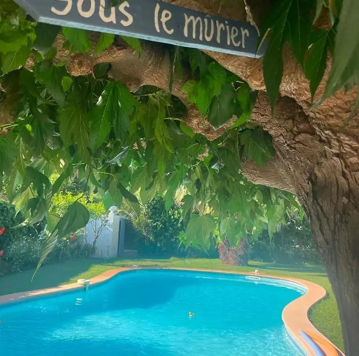 Sous le mûrier-1