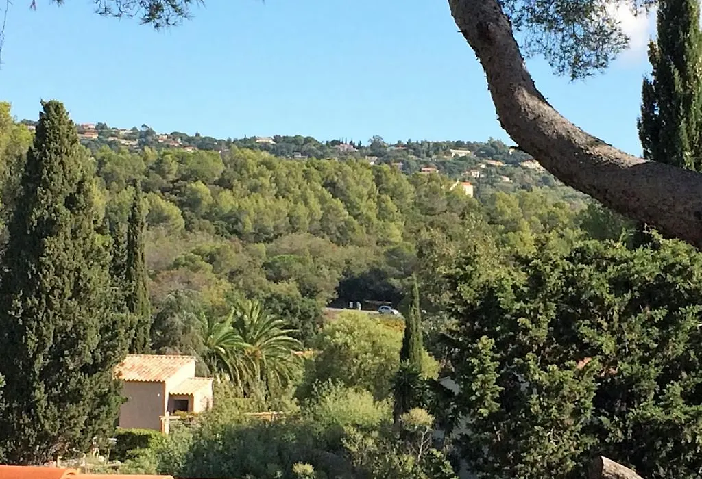 Hotel De La Mer-1