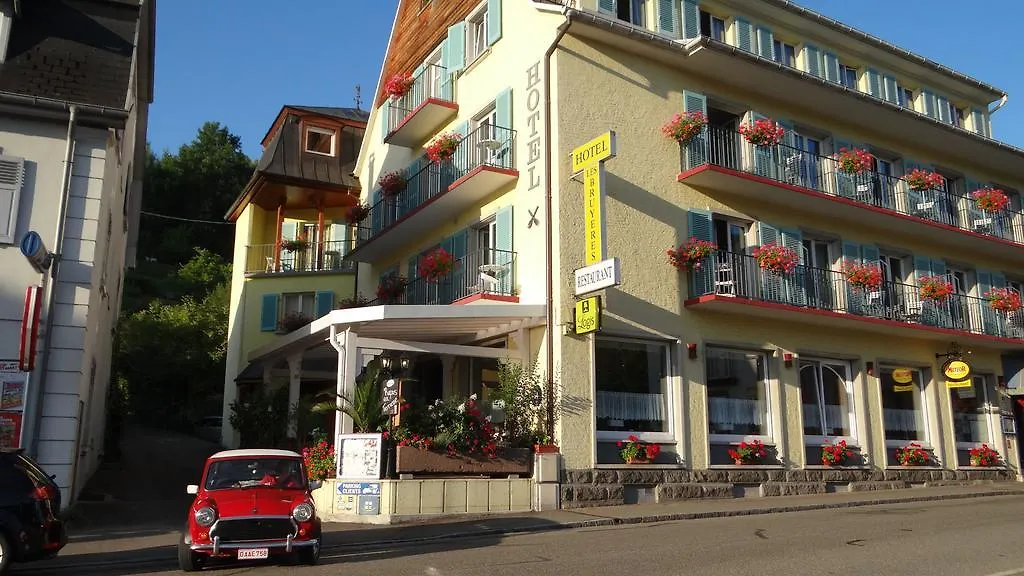 Hôtel aux Bruyères-1