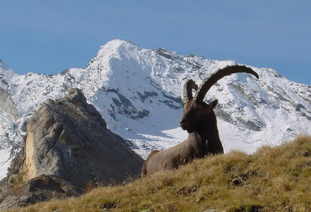 Hotel De La Vanoise-1