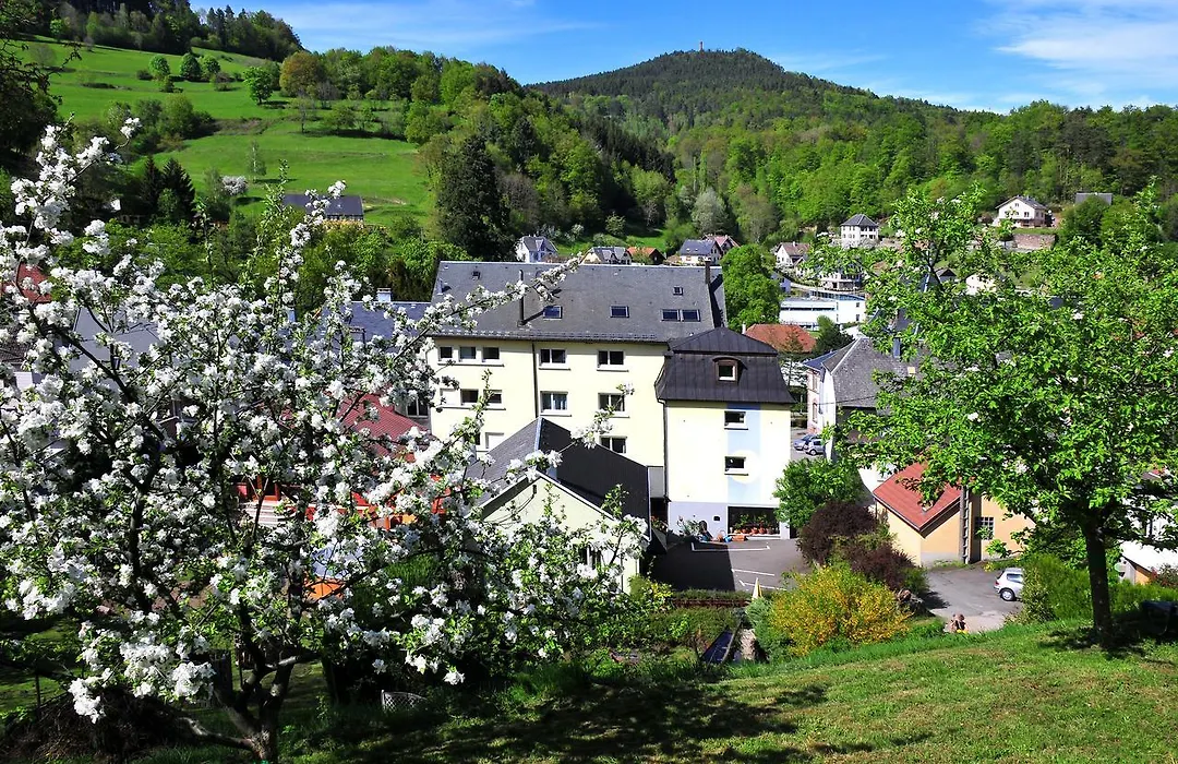 Hôtel aux Bruyères-1