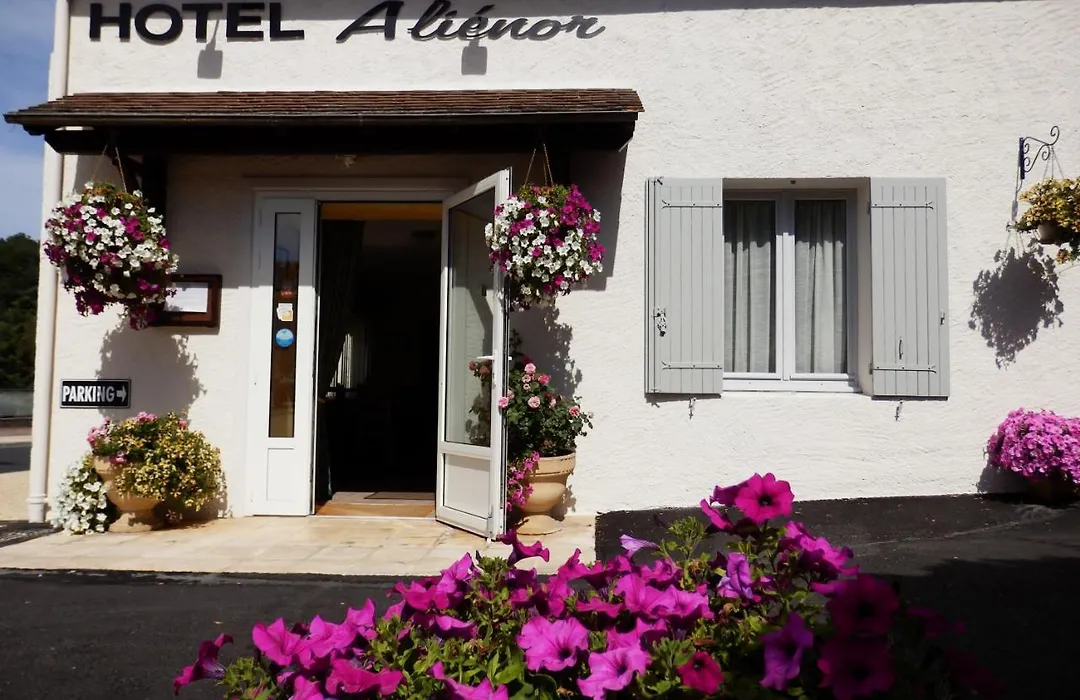 Hotel Alienor-1
