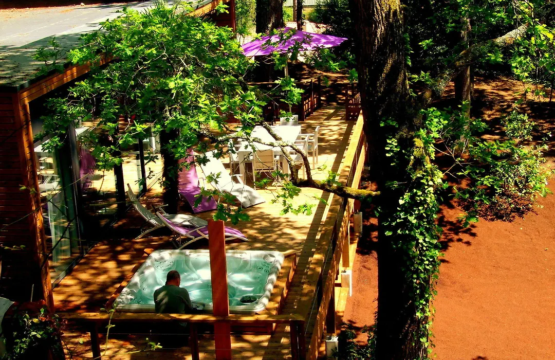 Oasis-1
