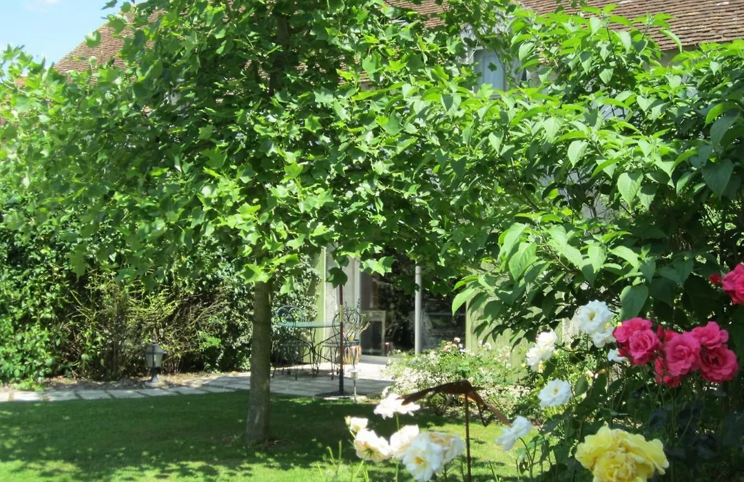La Petite Richerie-1
