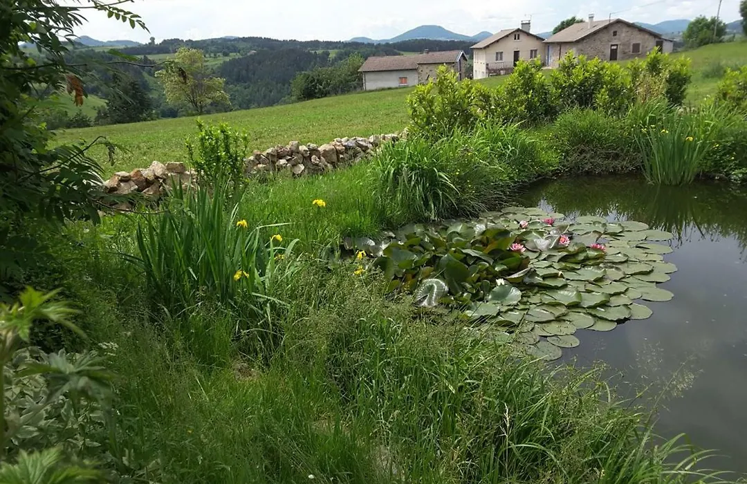 Le Suc du Pommier-1