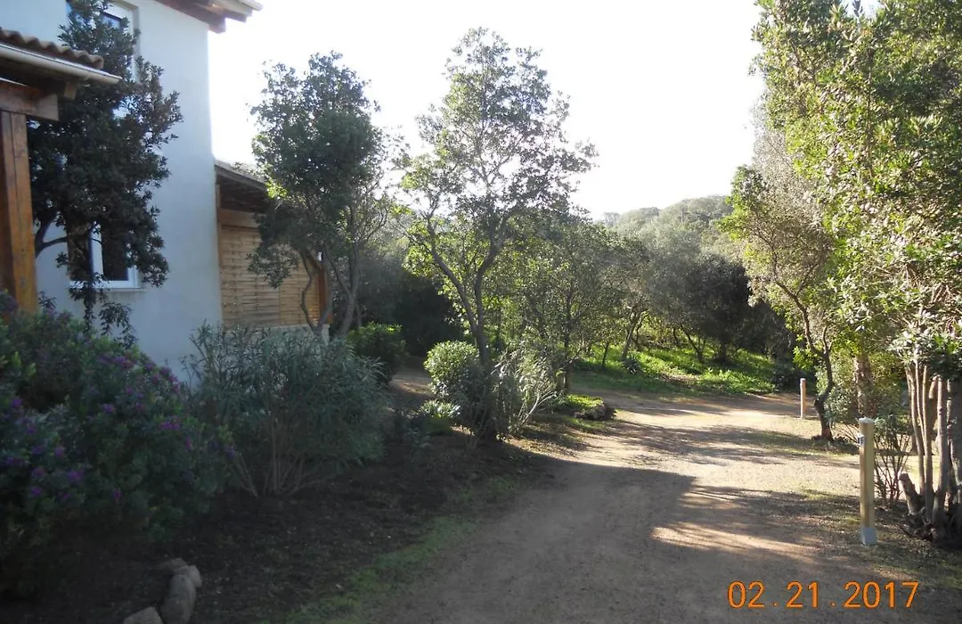 Chambres La Falcia - Figari - Corse Du Sud-1