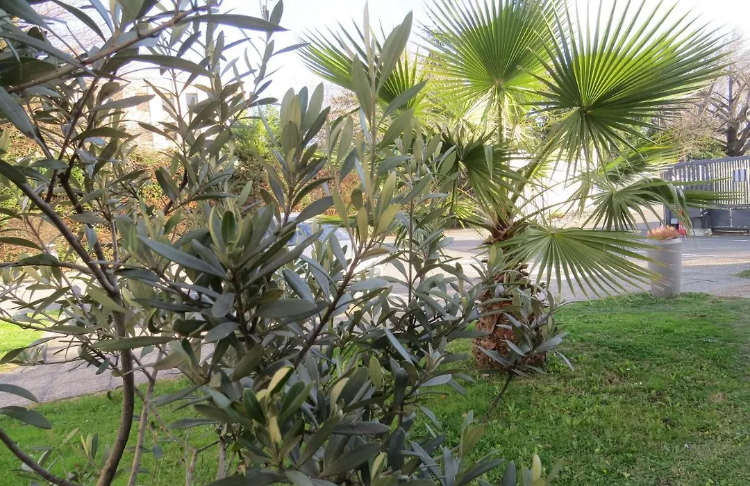 Hotel Kyriad Cap Sud-1