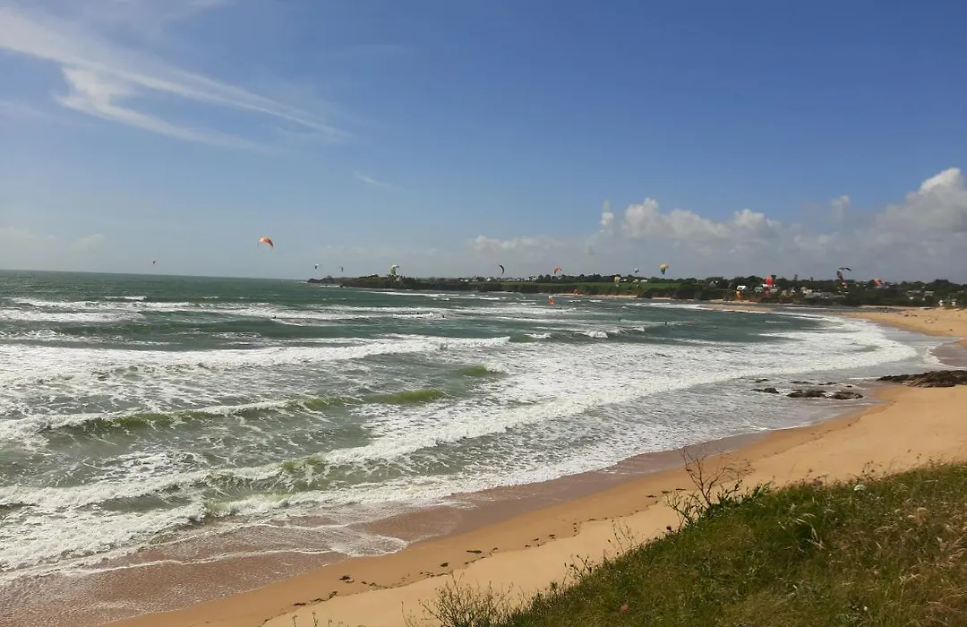 Home des Pins SARL-1