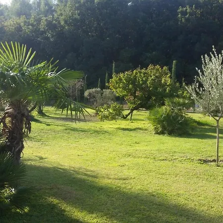 Provence-3