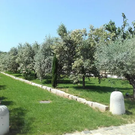 La Bastide de l'Oliveraie-3