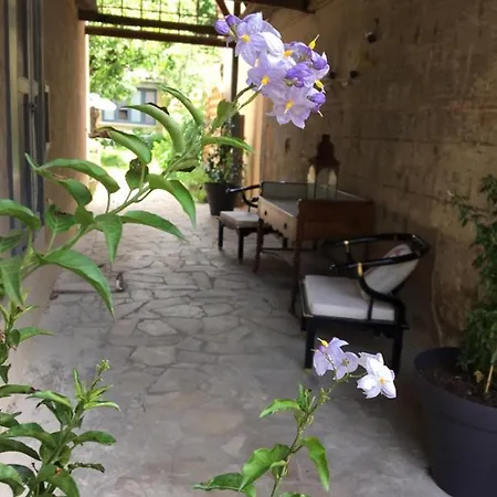 Un jardin en ville-3