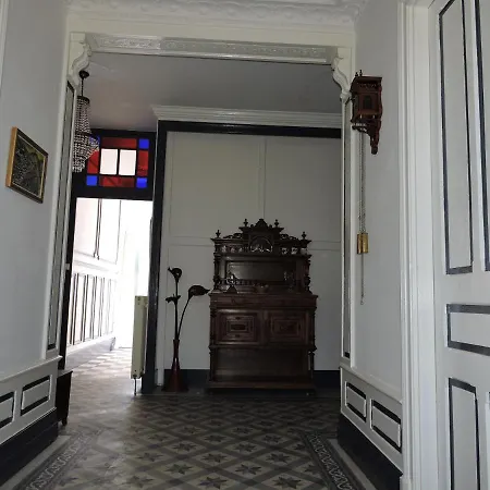 Lime trees-2