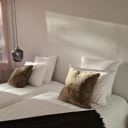 La Maison, 4 appartements 3 étoiles climatisés au centre ville avec jardin proche du Parc et des Thermes-2