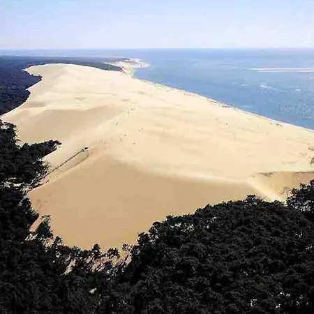 Maison Entre Le Pyla Et Arcachon, Piscine Commune-2