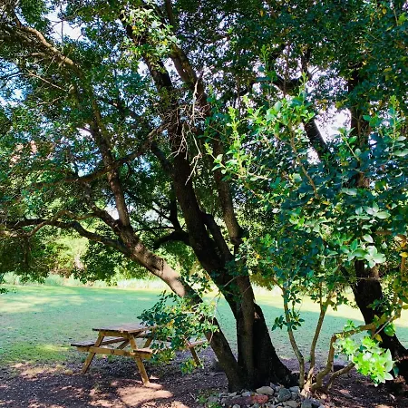 Domaine Des Ondes-2