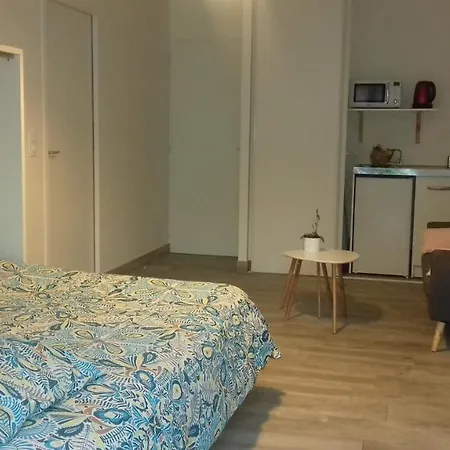 Studio Dans Quartier Calme Pres De Tout-2