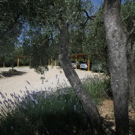 Le Madaleno-2