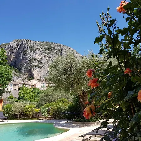 Bastide des Oliviers-2