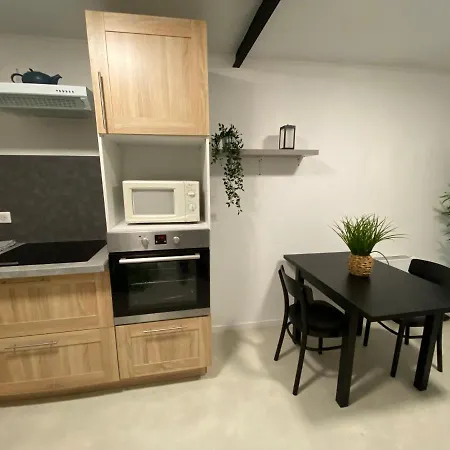 Cosy & Spa Appartement Luxe Jacuzzi Sauna Suite Cristal-3